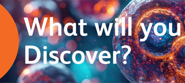 The BD What Will You Discover?