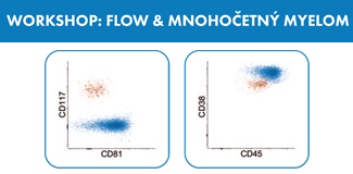 Workshop: Flow & mnohočetný myelom