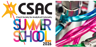 Summer School 2026, SAVE THE DATE